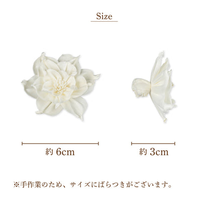 ダリア1C [Sサイズ6cm]