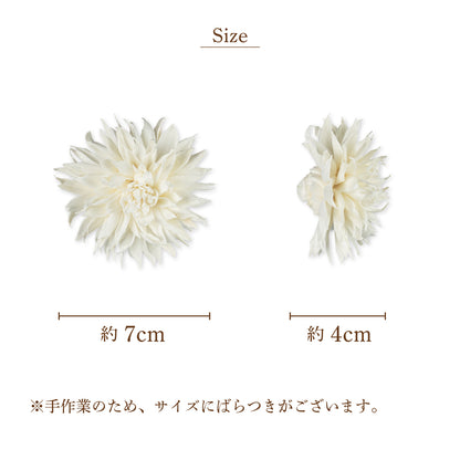 ダリア3B [Sサイズ7cm]