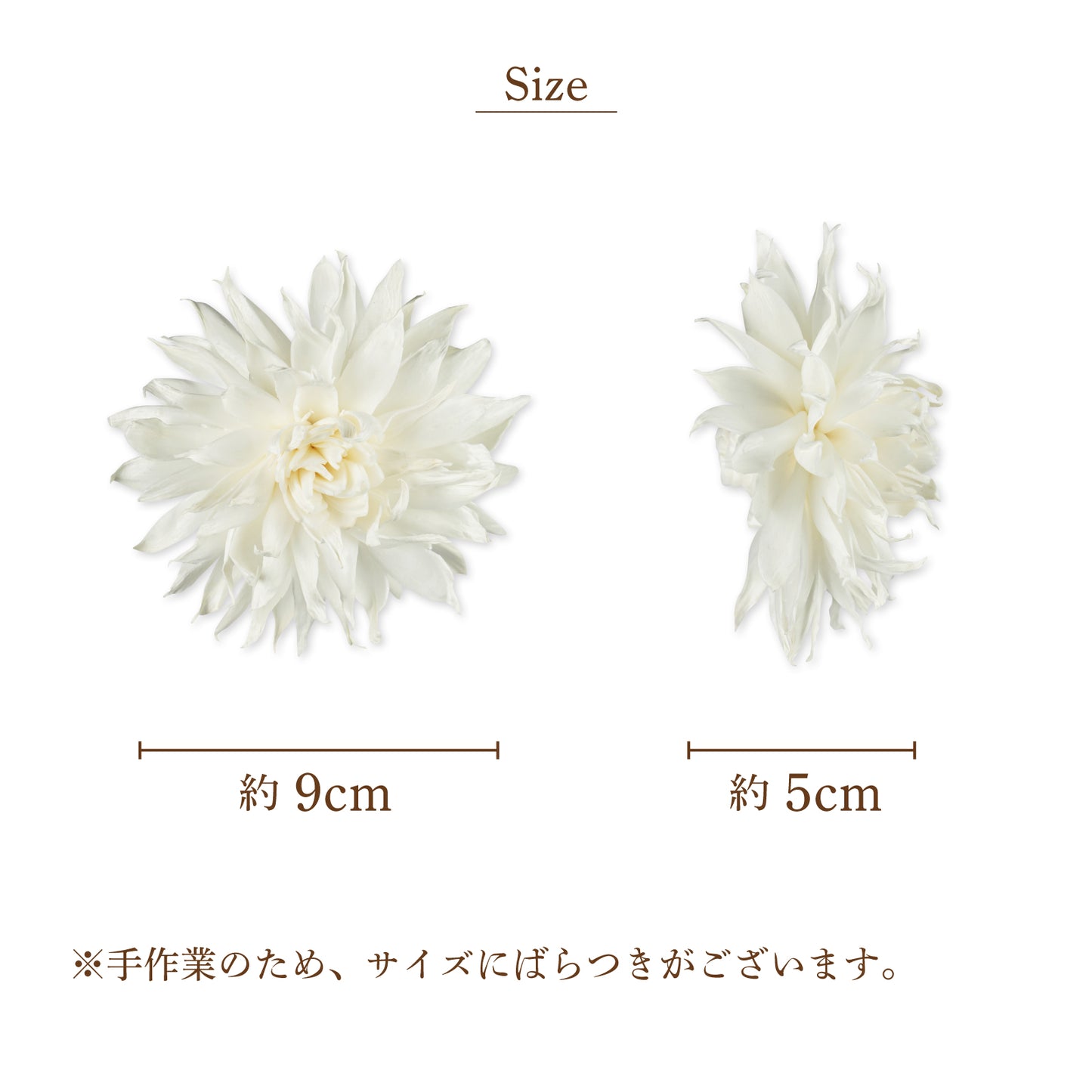 ダリア3B [Lサイズ9cm]