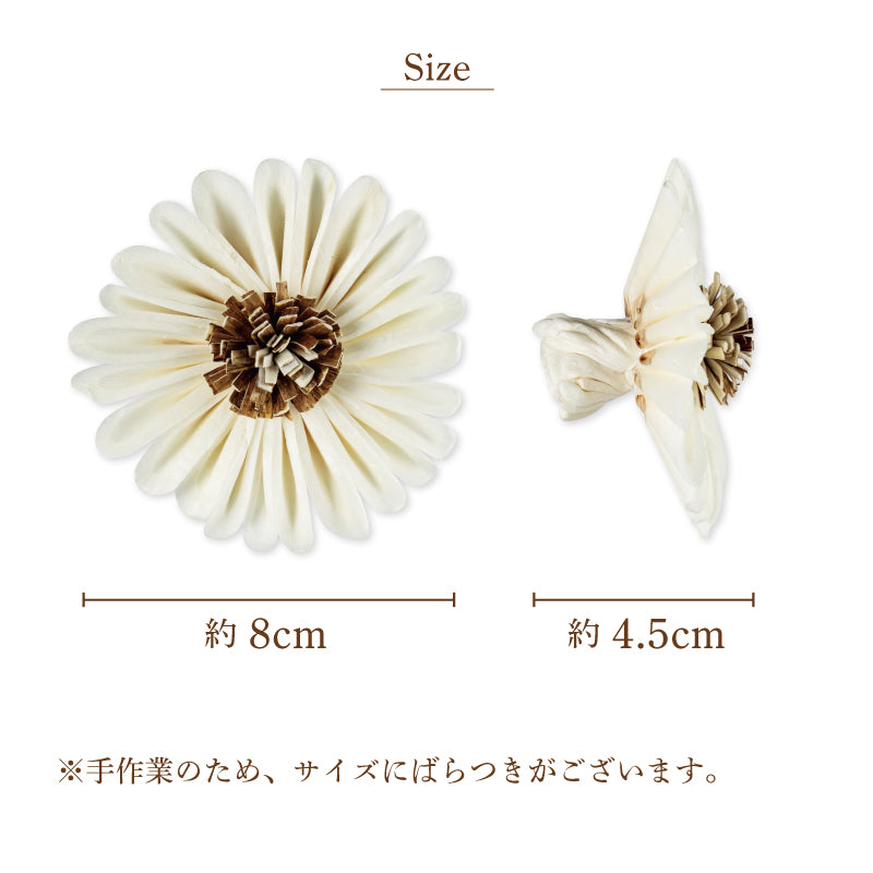 ひまわり  [Lサイズ8cm]