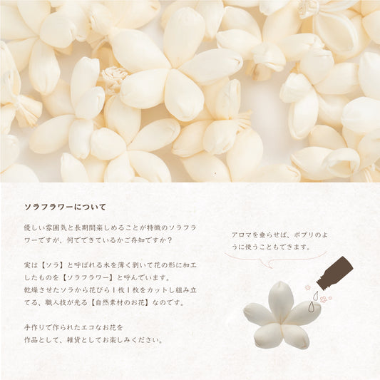 ソラフラワー ハゴロモジャスミン　20個入り