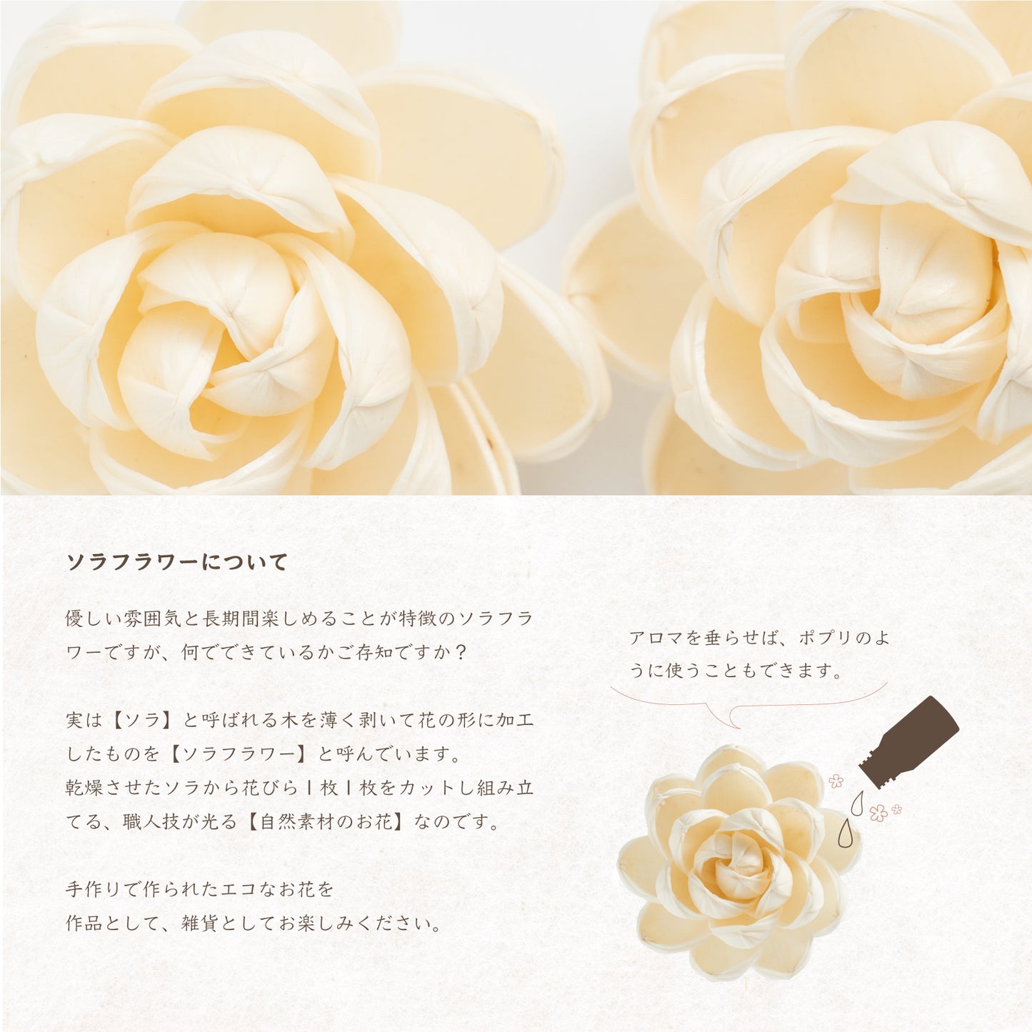 ソラフラワー ロータス 8cm 4個入