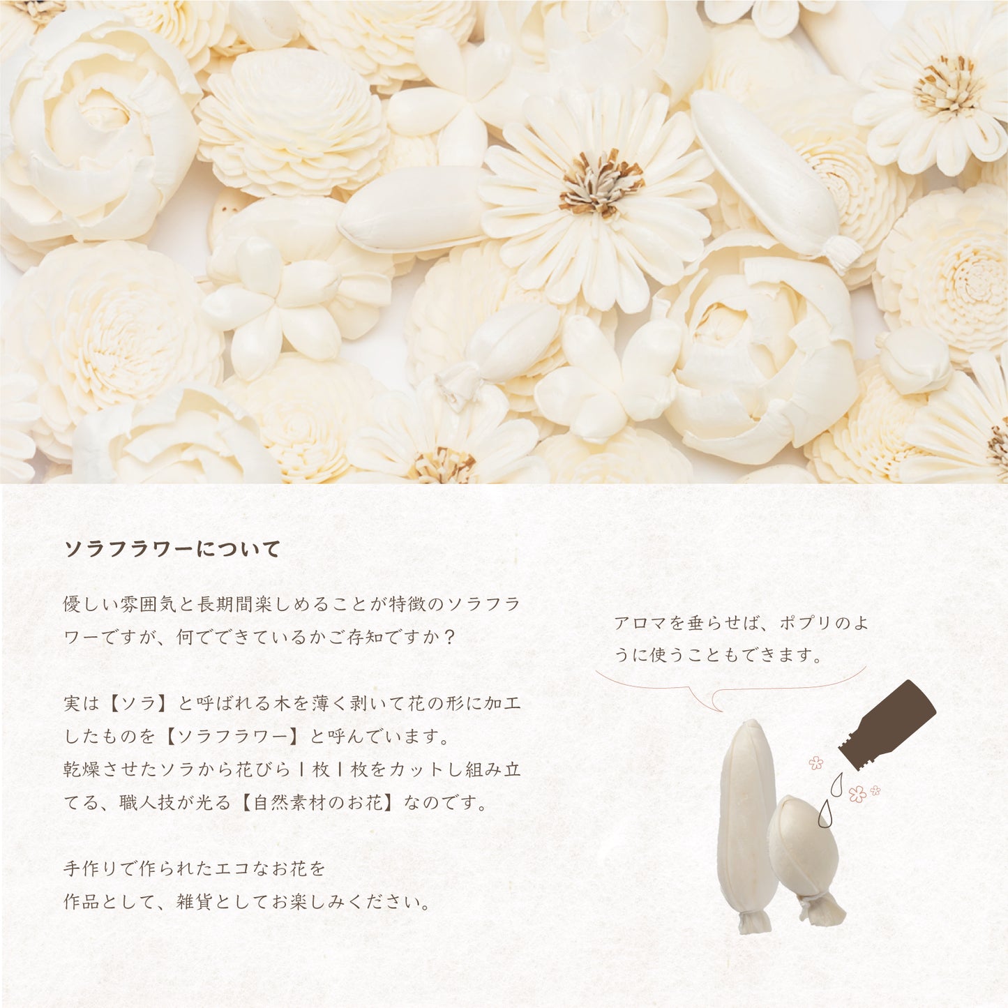 ソラフラワー ツボミ