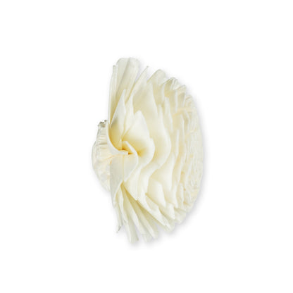 ジニア[Sサイズ4.5cm]