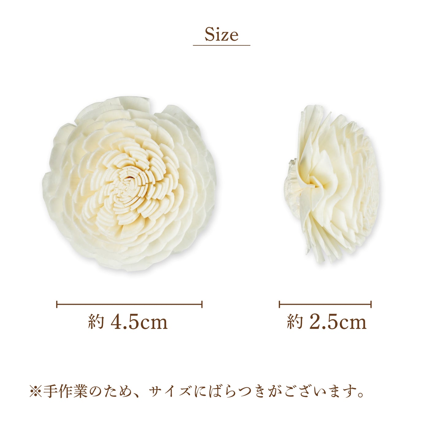 ジニア[Sサイズ4.5cm]